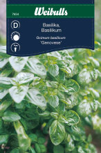 Basilikum 'Genovese'